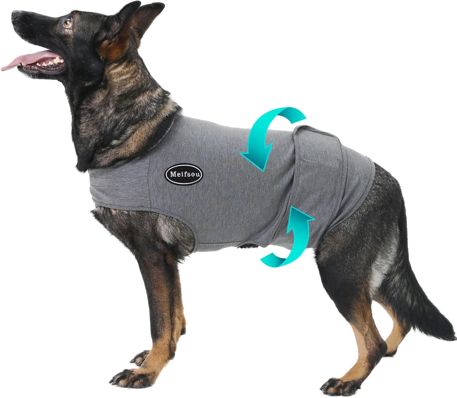 Dog Anxiety Vest