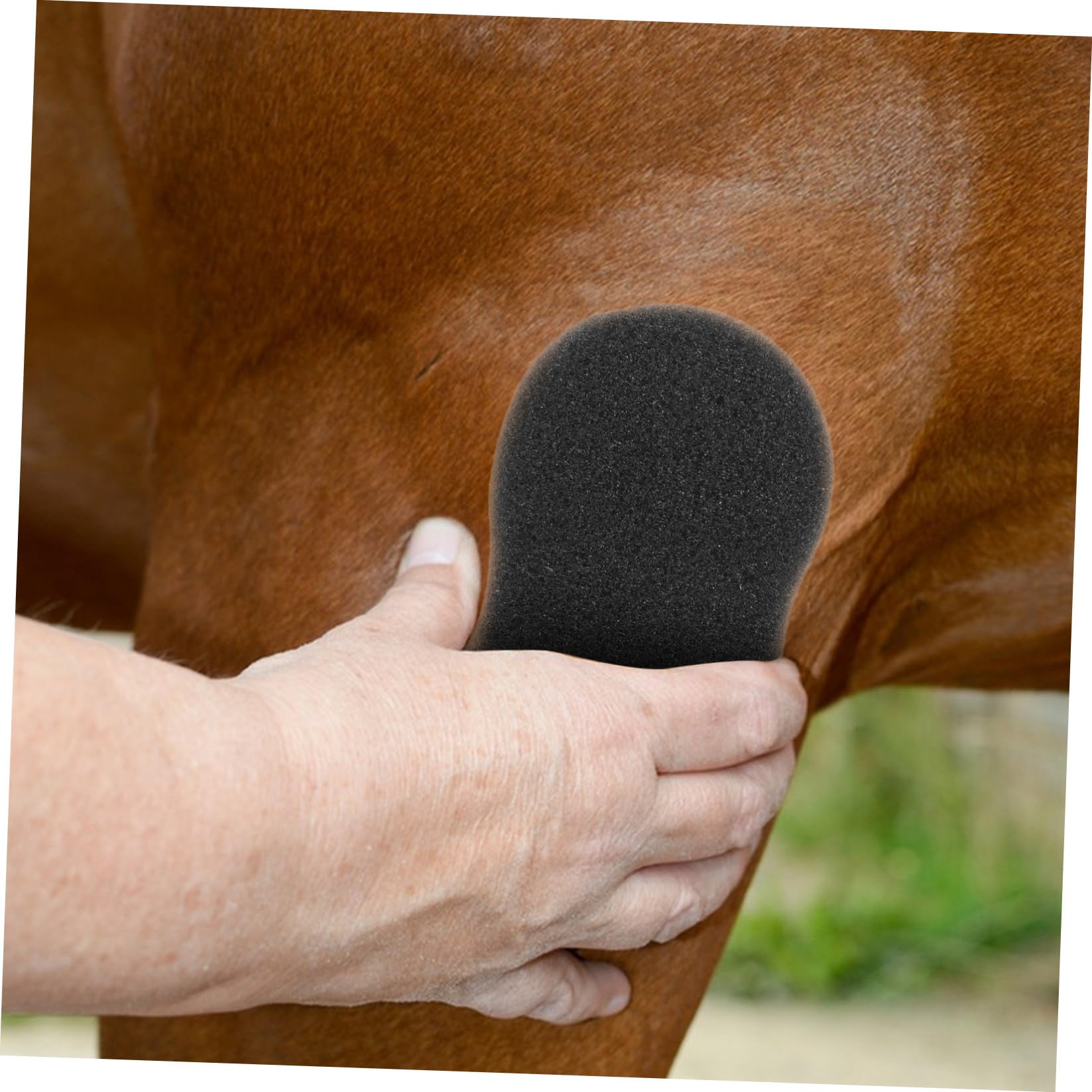 Artibetter Esponjas de Limpieza para Caballos Grandes Suaves Absorbentes 20x11 Cm para Baño y Aseo Diario de Caballos Kit de Cuidado Equino