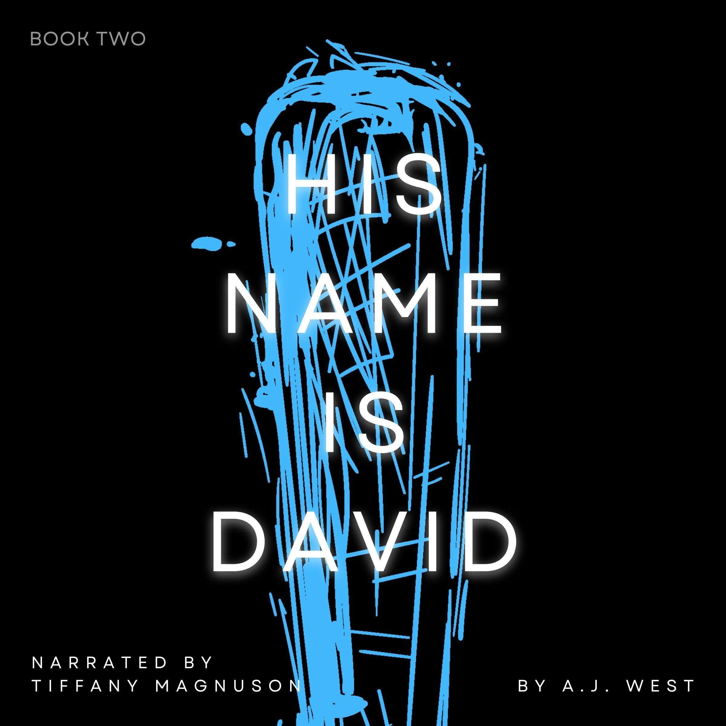 Cover art for His Name Is David, Book 2