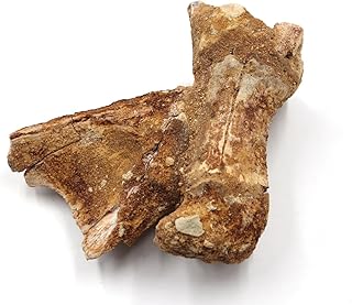 Spinosaurus Dinosaur Vertebra Fossil 100 Mil Yr. Old #18015