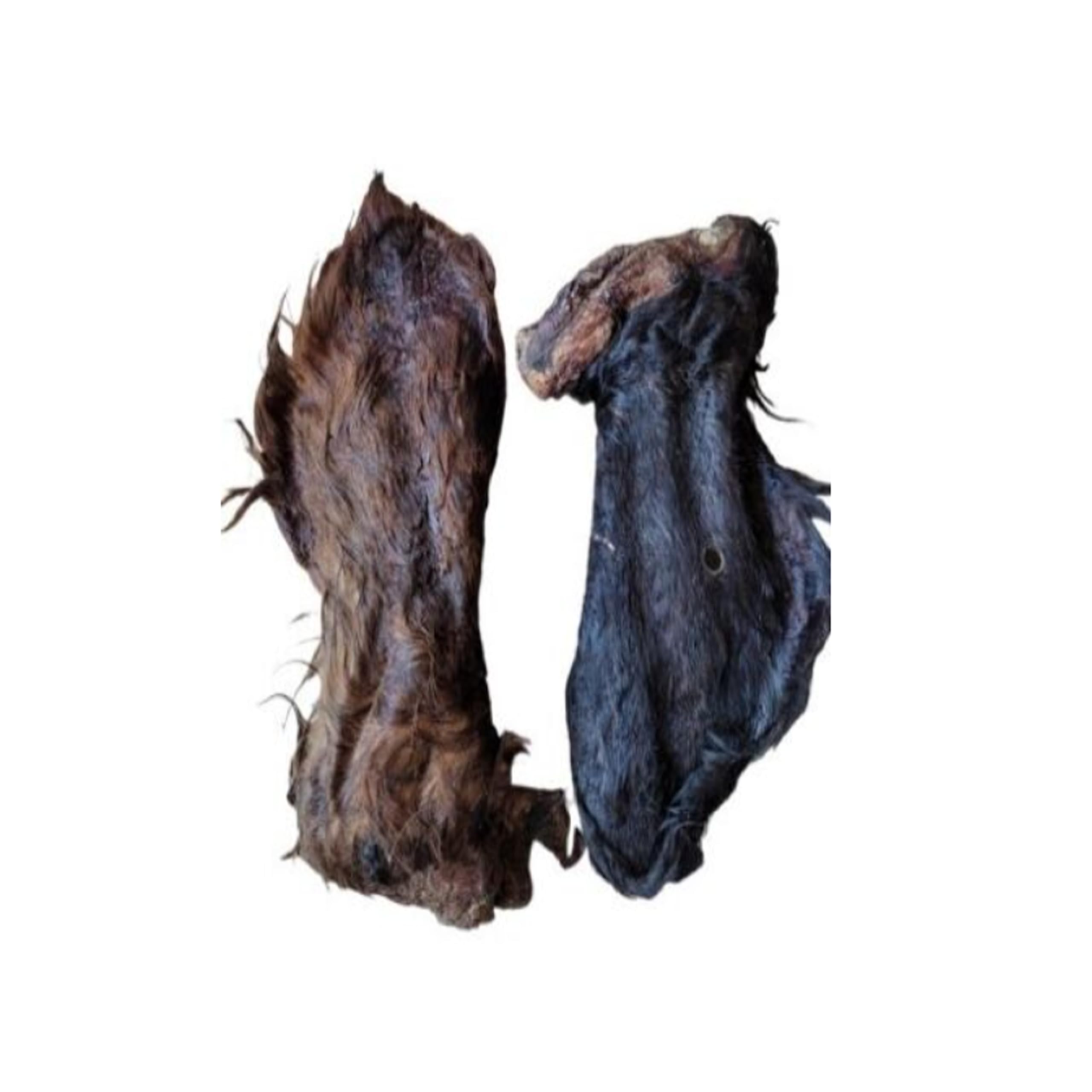 Premium - Orecchie di bovino per cani – XXL – orecchie di manzo con pelliccia – orecchie di bovino come cuoio capelluto di bovino – articolo da masticare – Lucze Premium per cani (20 pezzi)