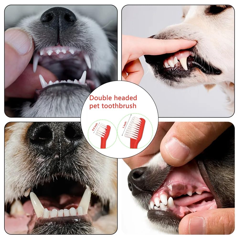Dog Toothbrush Set of 8 – Dual Headed Dental Hygiene Brushes for Small to Large Dogs, Easy Teeth Cleaning & Dental Care,Dog Tooth Brushes for Small to Large Dogs, Cats, and Most Pets - image 5