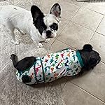 Review Image by molly molly