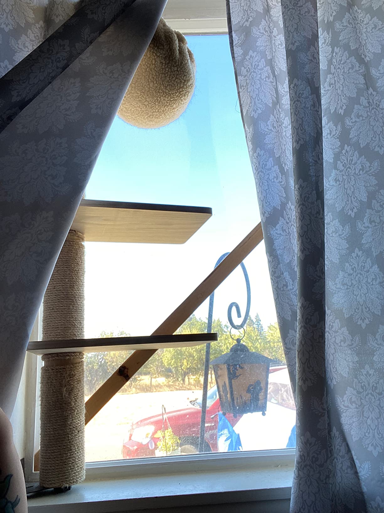 11/mo Finance BIG NOSE Wall Mounted Cat Scratching Post Multi Level