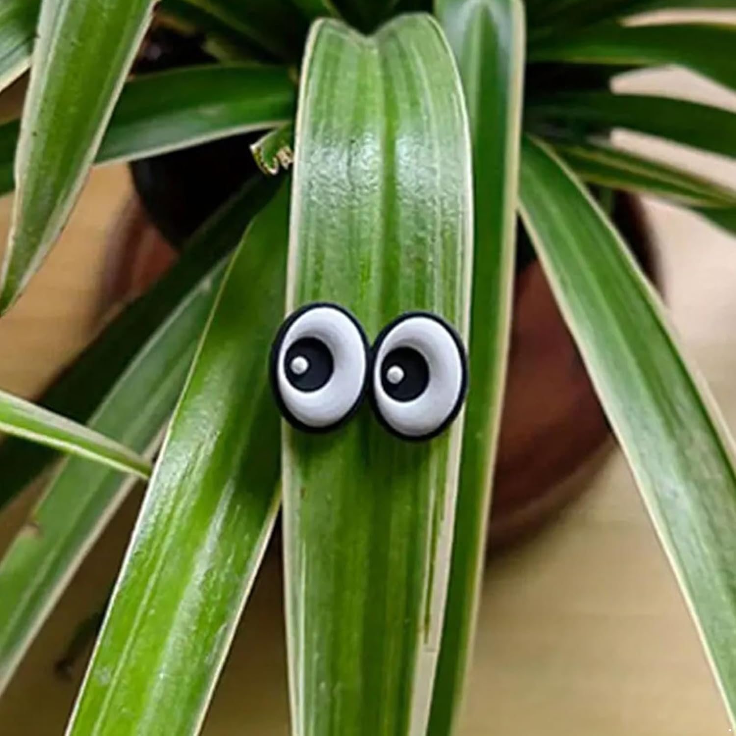 YiZYiF Cute Magnet Plant Eyes, Plants Safe Magnet Decor Pins Charm Decorative Indoor Planting Accessories White One Size image 4