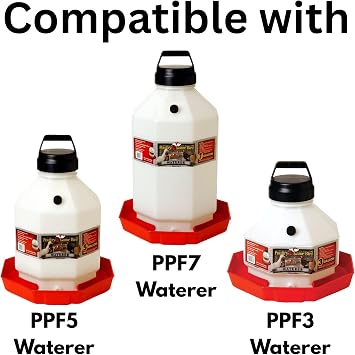 DPD Mold RITE Replacement Cap for PPF3/PPF5/PPF7 - Small