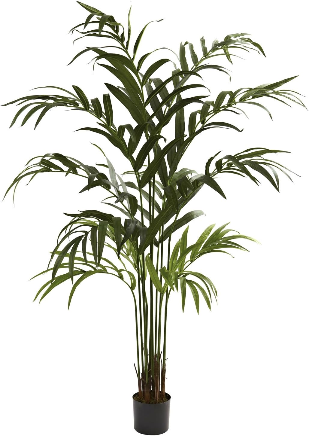6' Kentia Silk Palm Tree