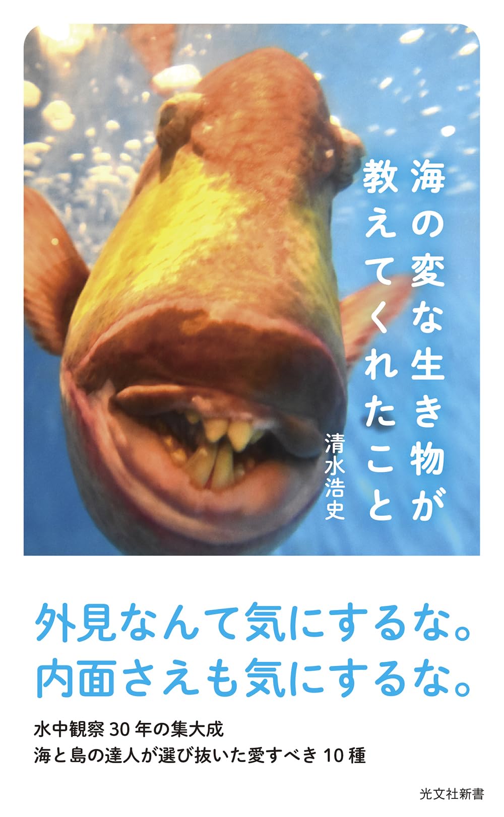 海の変な生き物が教えてくれたこと (光文社新書) | 清水 浩史 |本