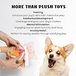 Nocciola Stuffed Pig Dog Toys: Funny Squeaky Crinkle Dog Chew Toys for Small Medium Breed, Plush Puzzle Training Pet Toys, Burrow Hide and Seek Mental Stimulation Anxiety Relief, 9 Packs | Intelligence Dog Enrichment Toys For Mental Stimulating, Plus
