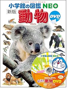 かみさまは小学5年生 すみれ