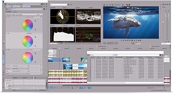 Vegas Pro 14 [Download]