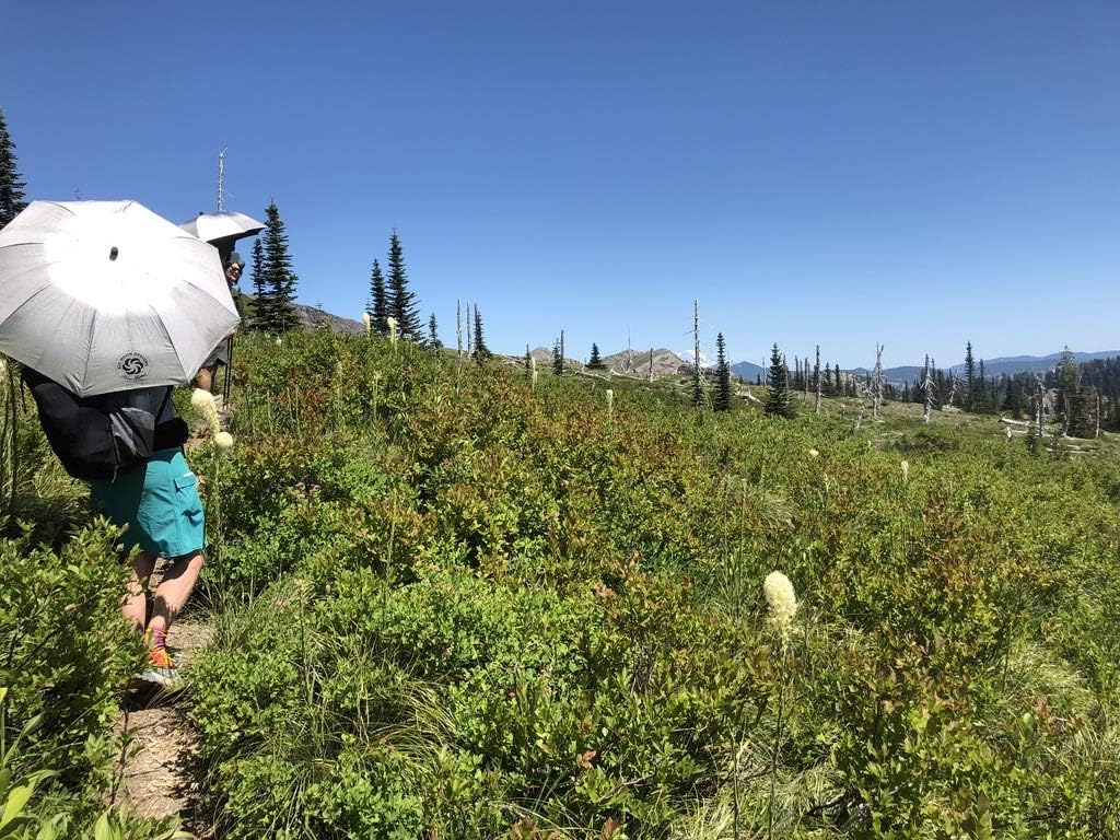 Six Moon Designs Silver Shadow Carbon - 6.8 oz Ultralight Hiking Umbrella - UPF 50+ Sun & Rain Protection - Hands-Free Ready for Thru-Hiking - Silver Reflective