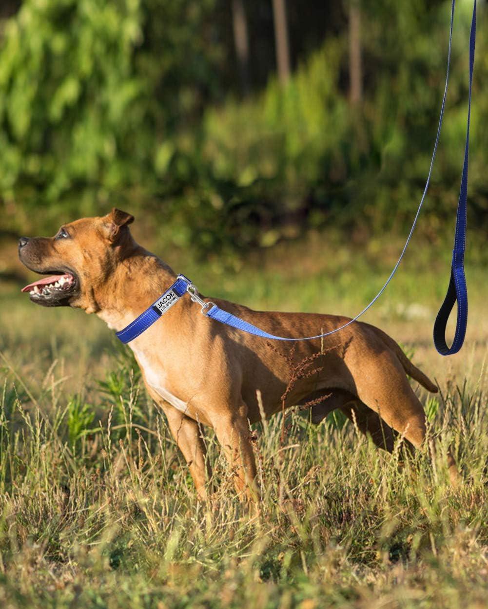 Joytale Dog Harness (Chest: 14-28"), Dog Collar and 6FT x 1" Wide Dog Leash Set, Reflective Padded Nylon Collar and Leash, Adjustable Soft Harness with Handle for Dogs