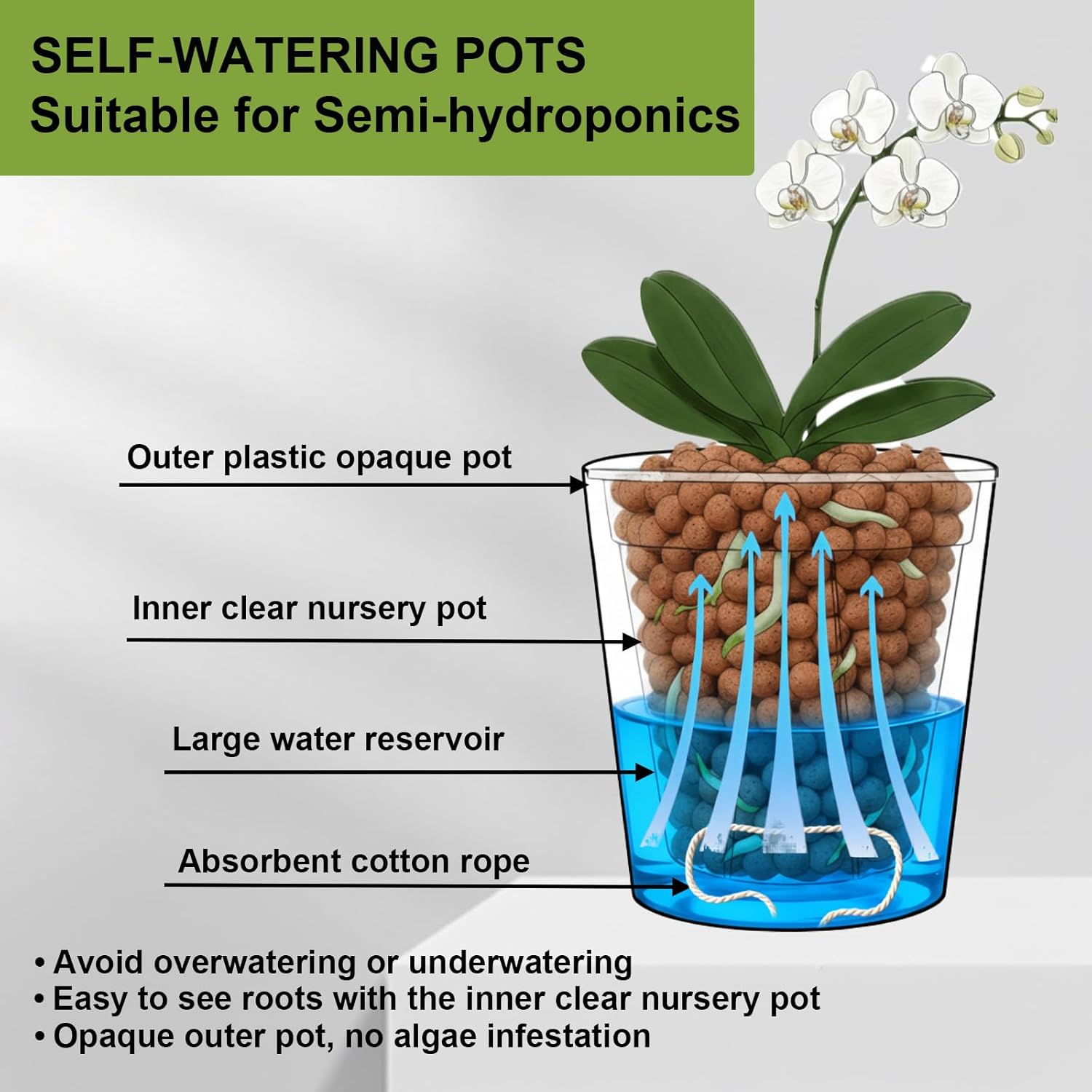 6 Pack of 6in Plastic Cachepot with 6 inch Clear nusery Pot - self Watering Indoor Planter with Drainage for Root Visibility,semi Hydro pots for repotting Monstera,Orchids,Aroid,Black