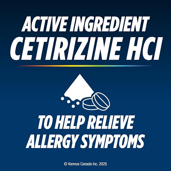 Reactine Extra Strength Antihistamine Tablets - 10mg Cetirizine Hydrochloride - 24 Hour Allergy Relief Medicine - 48 Count MADE IN CANADA - 5