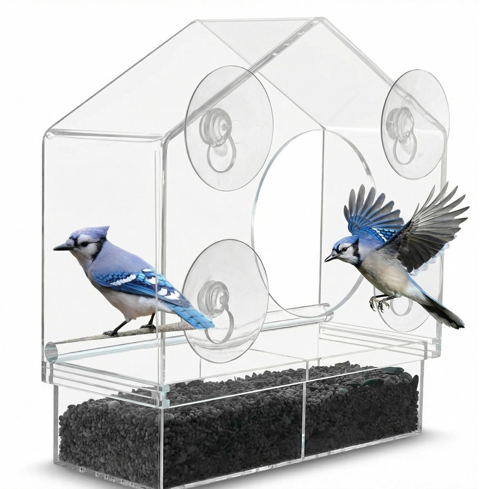 Mangeoire à oiseaux de fenêtre transparente à ventouses avec 2 compartiments