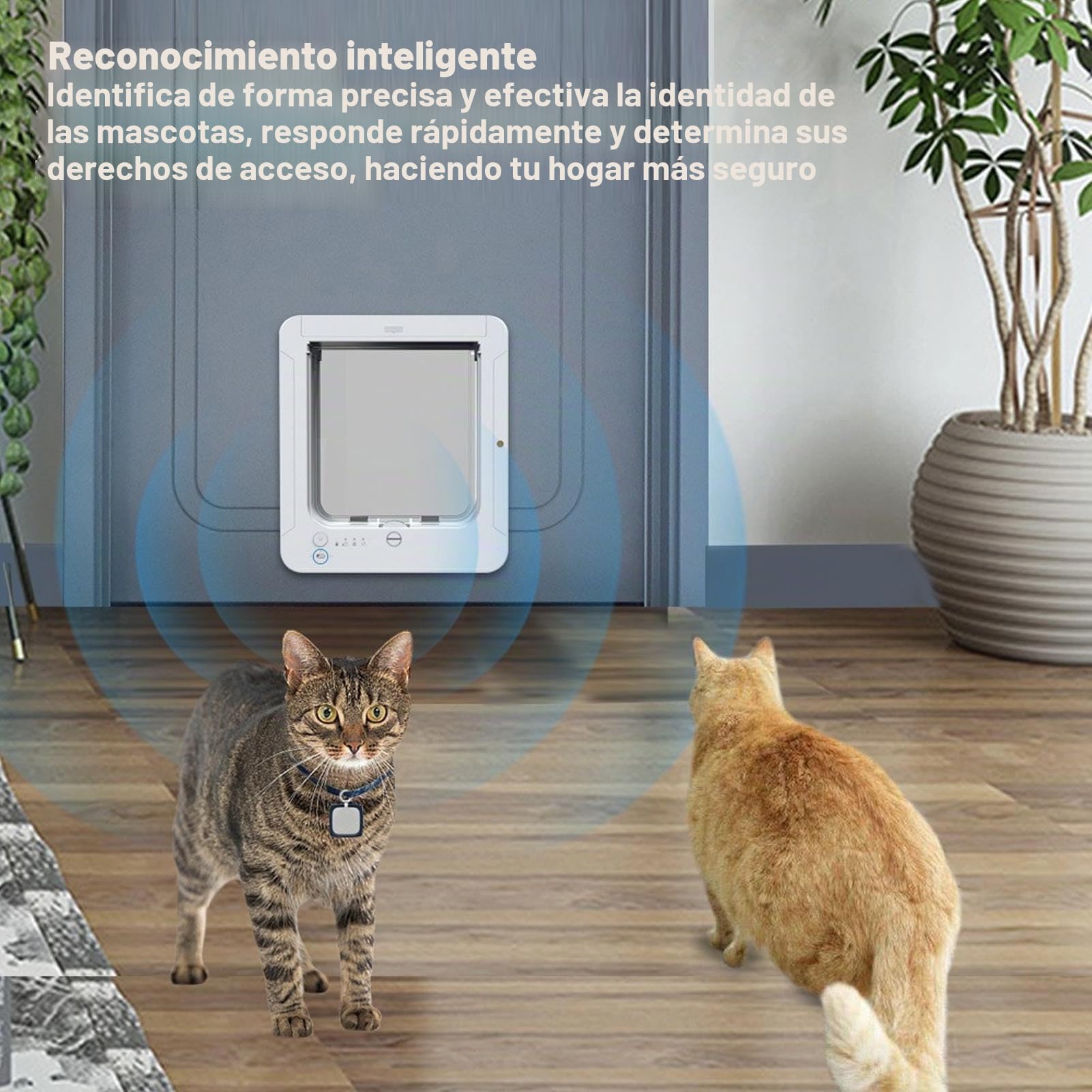 Denash Puerta de Gato con Sensor de Cuello,Puerta de Gato de Detección Automática con 2 Collares Magnéticos de Gato,Puerta de Mascota Activada por Collar para Uso Interior/Exterior