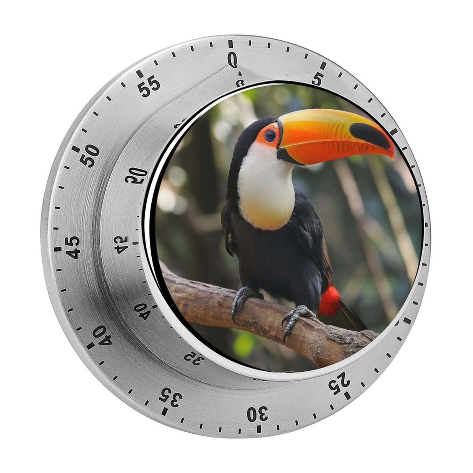 Toucan Kitchen Timer Magnetic Countdown Countup Timer for Cooking Baking 8x8cm