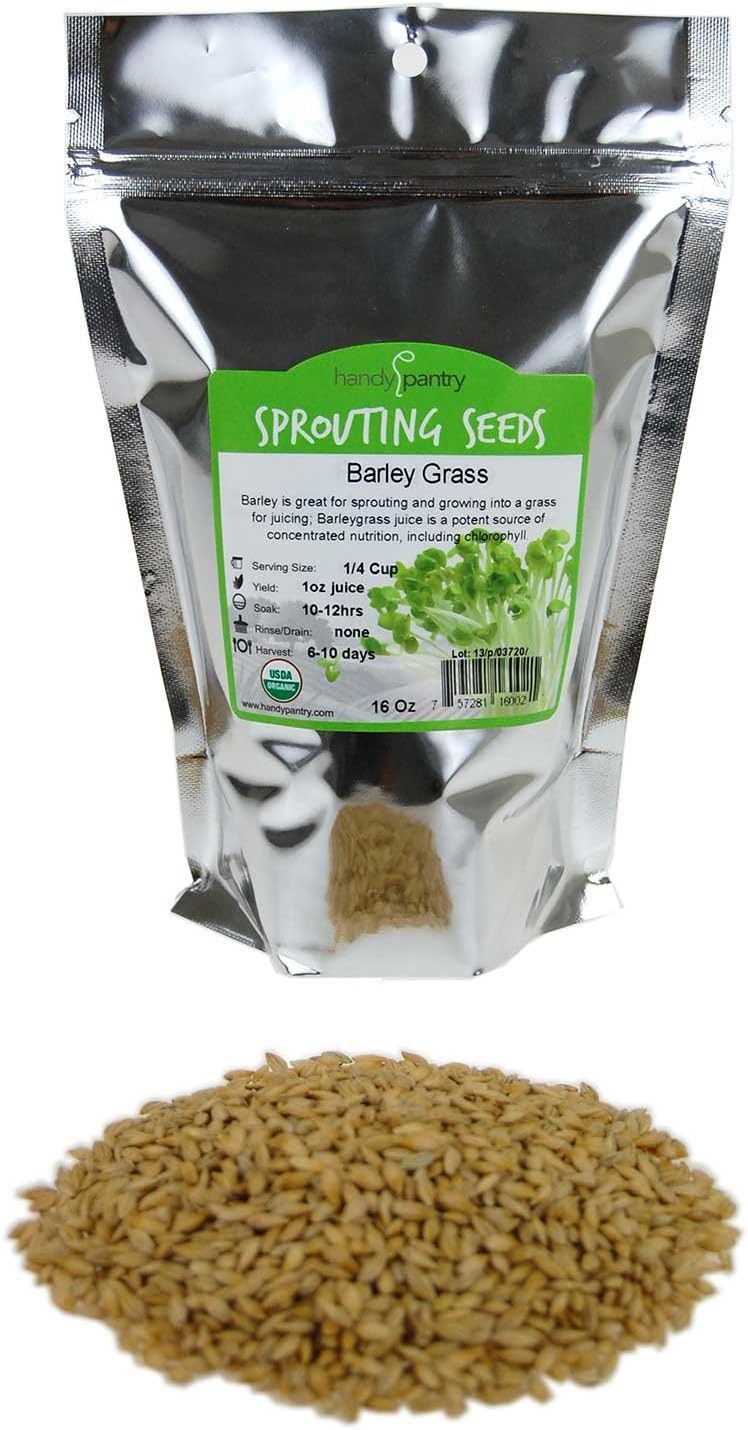 Organic Barley Seeds - 1 Lbs - Whole (Hull Intact) Barleygrass Seed - Ornamental Barley Grass, Juicing - Grain for Beer Making, Emergency Food Storage & More