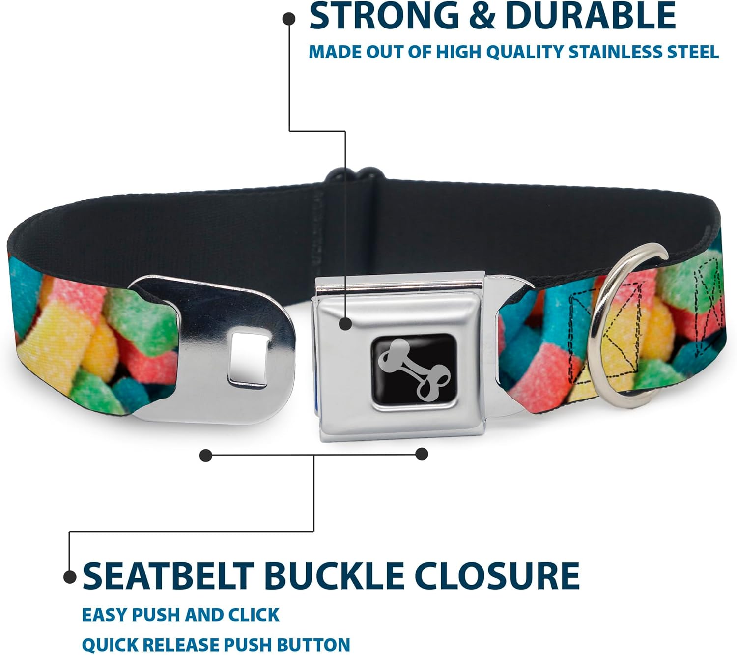 Dog Collar Seatbelt Buckle Vivid Sour Worms Stacked 11 to 17 Inches 1.0 Inch Wide