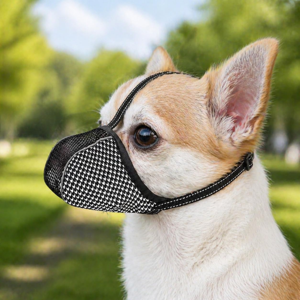 Generisch Maulkorb für Hunde, Soft Mesh Maulkorb, Maulkorb für extra kleine Hunde,Kauen, Bellen, Reflektierend, Verstellbar, Vollständige Abdeckung, für Fellpflege, Schnitzen, Schwarz, Größe XS