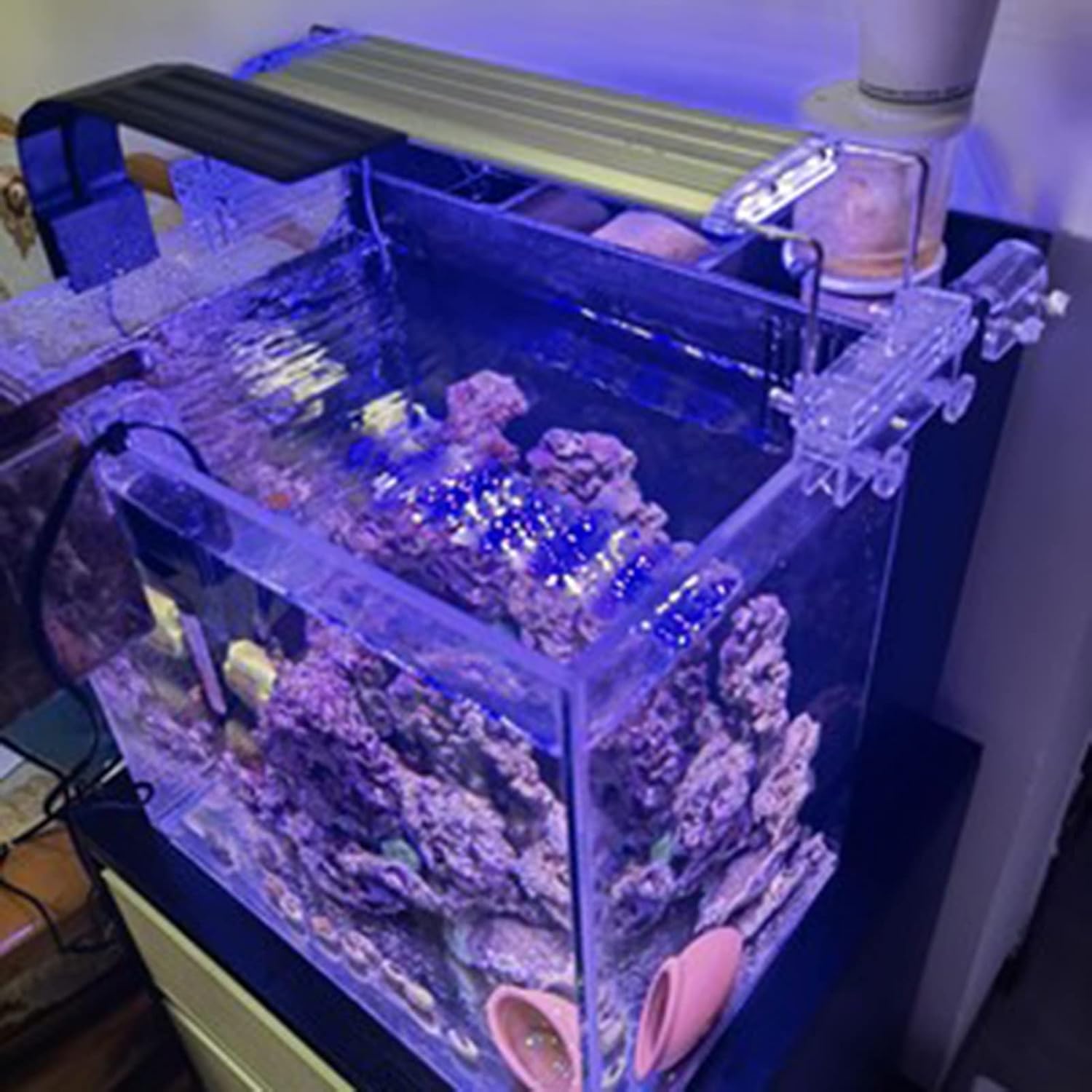 正規取扱店 Ledフルスペクトル水族館ライト 水槽ライト アルミニウム合金シェル拡張可能ブラケット付き ブルーライトとホワイトライト 淡水水槽用 Www Sanchetana Org