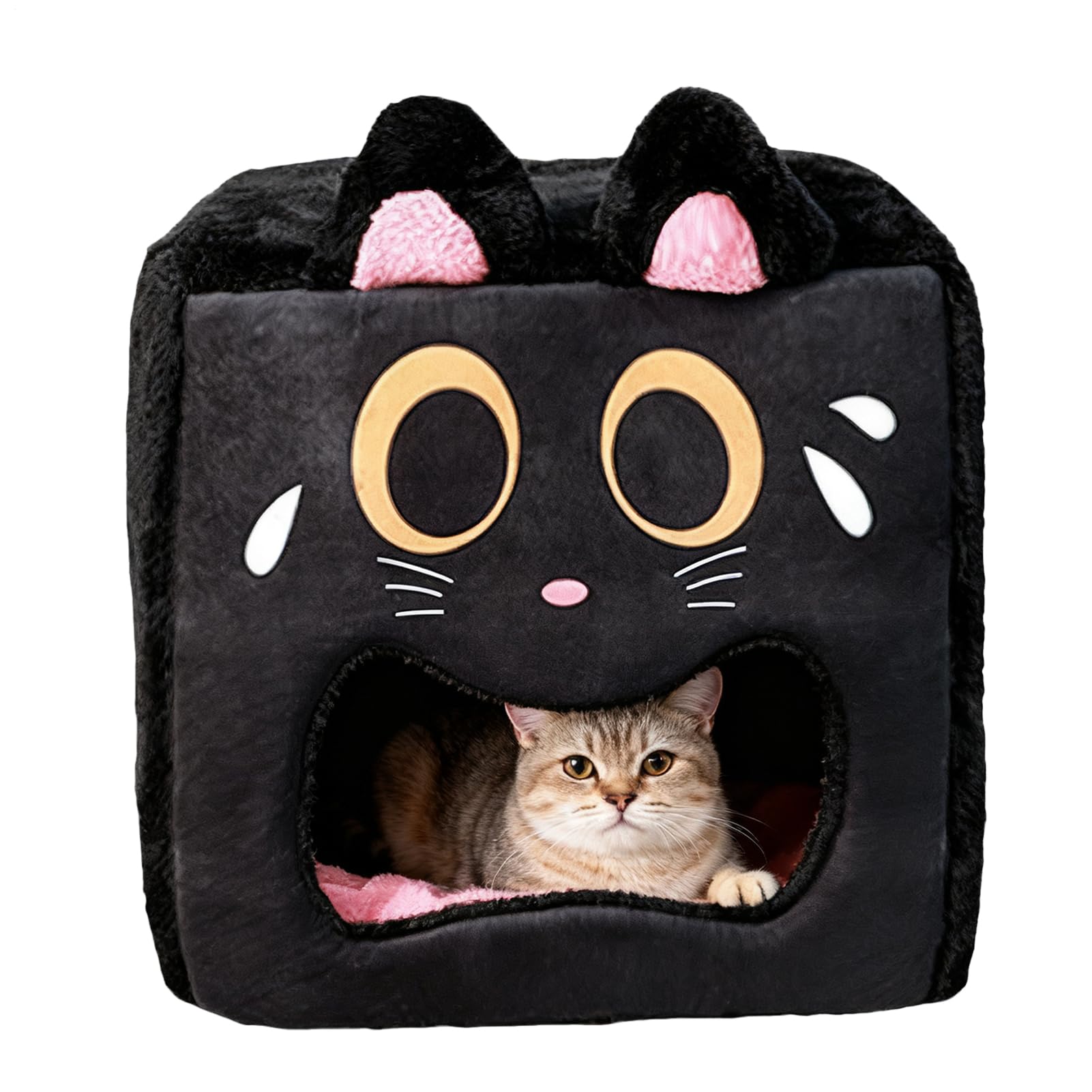 Tente d'hiver en peluche pour chat : finis les lits froids dans le garage