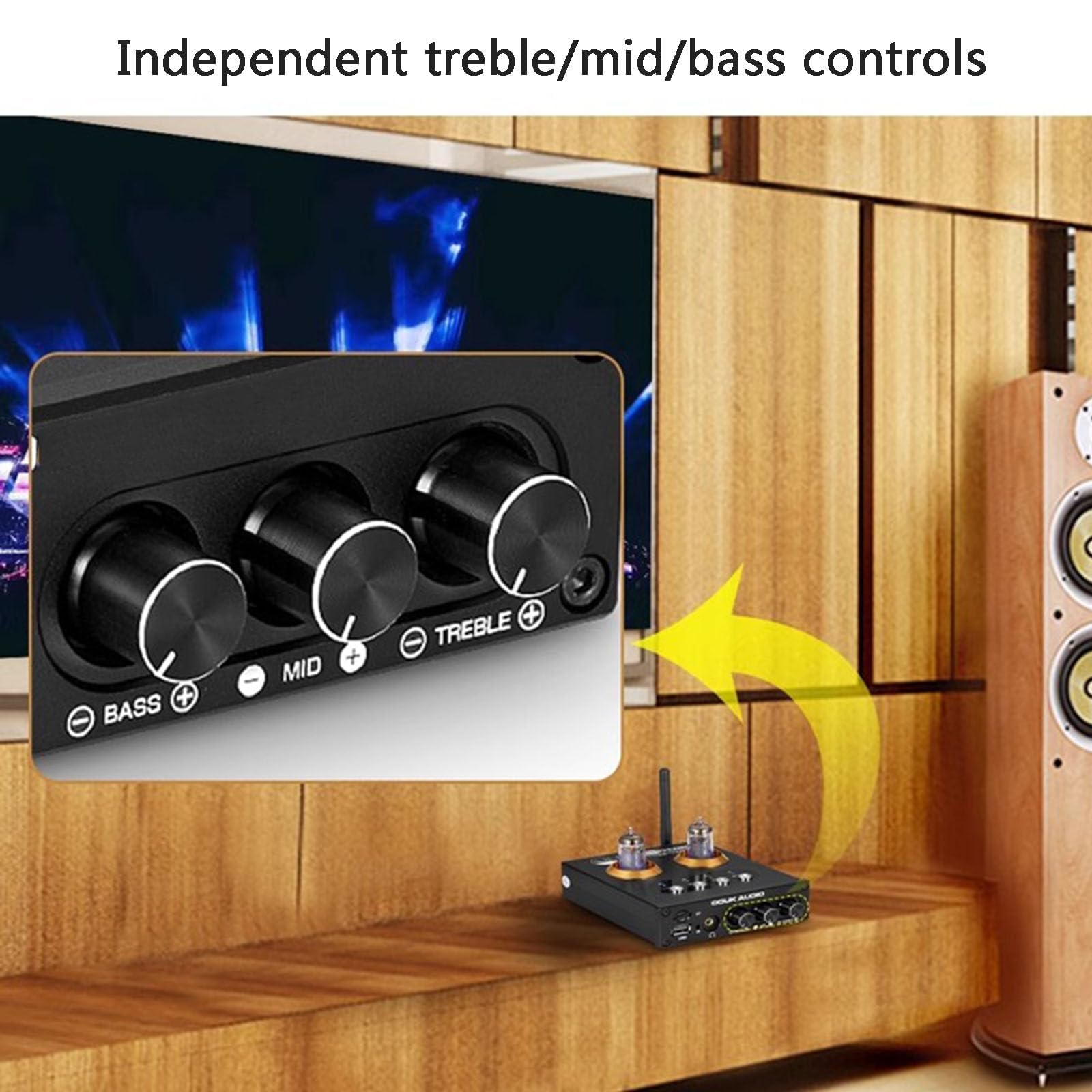 COYEUX Wzmacniacz lampowy Mini Hi-Fi Bluetooth 5.0 2-kanałowy wzmacniacz mocy klasy D, z pilotem zdalnego sterowania, do zestawu słuchawkowego Home Audio