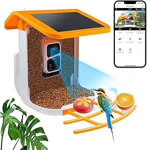 Bird Feeder with Camera Solar Powered, 2K Live Video, for Outdoor Backyard - Ai Identify Auto Capture Videos, Unique Outdoor Gifts for Mom Dad Birdlover