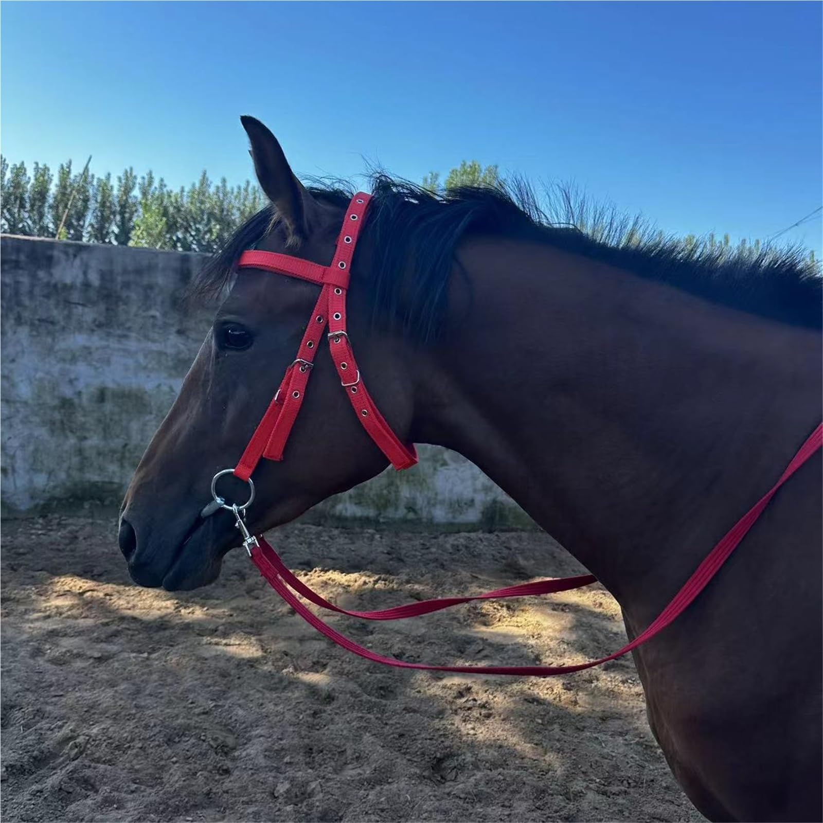 Cavezza Per Cavallo Testiera, redini, morso in pelle PU – Attrezzatura da allenamento equestre regolabile, accessori for l'equitazione(Black Large)