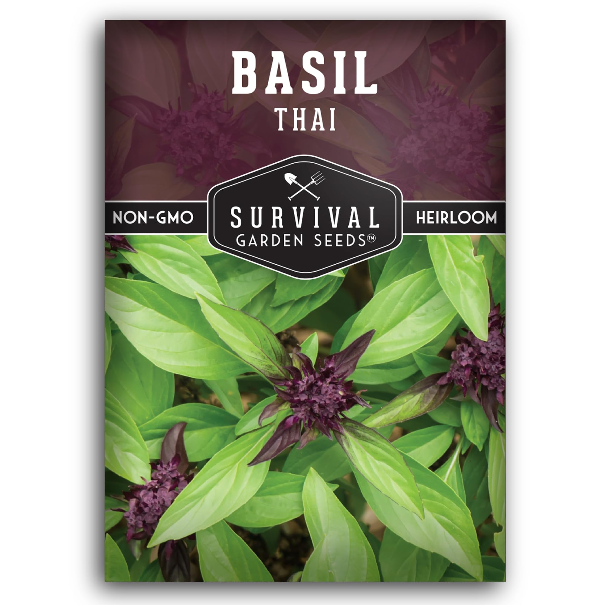 Thai Basil Seeds for Planting – Sweet Thai Basil with Anise Flavor for Asian Cooking – Heirloom Non-GMO Herb Seed for Indoor or Outdoor Gardens –