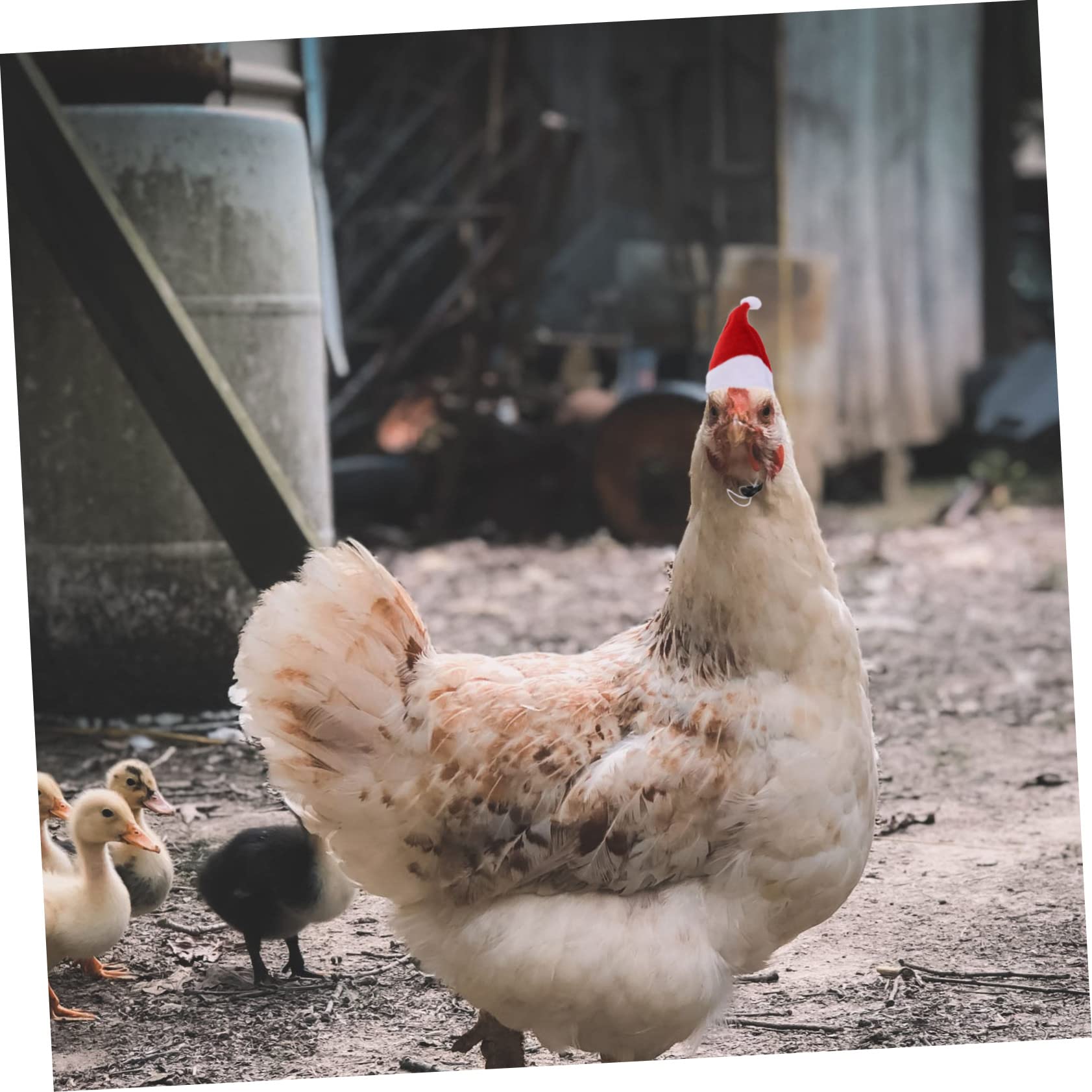 POPETPOP Kerstmuts En Sjaal Voor Huisdieren Set Van 12 Stuks Mini