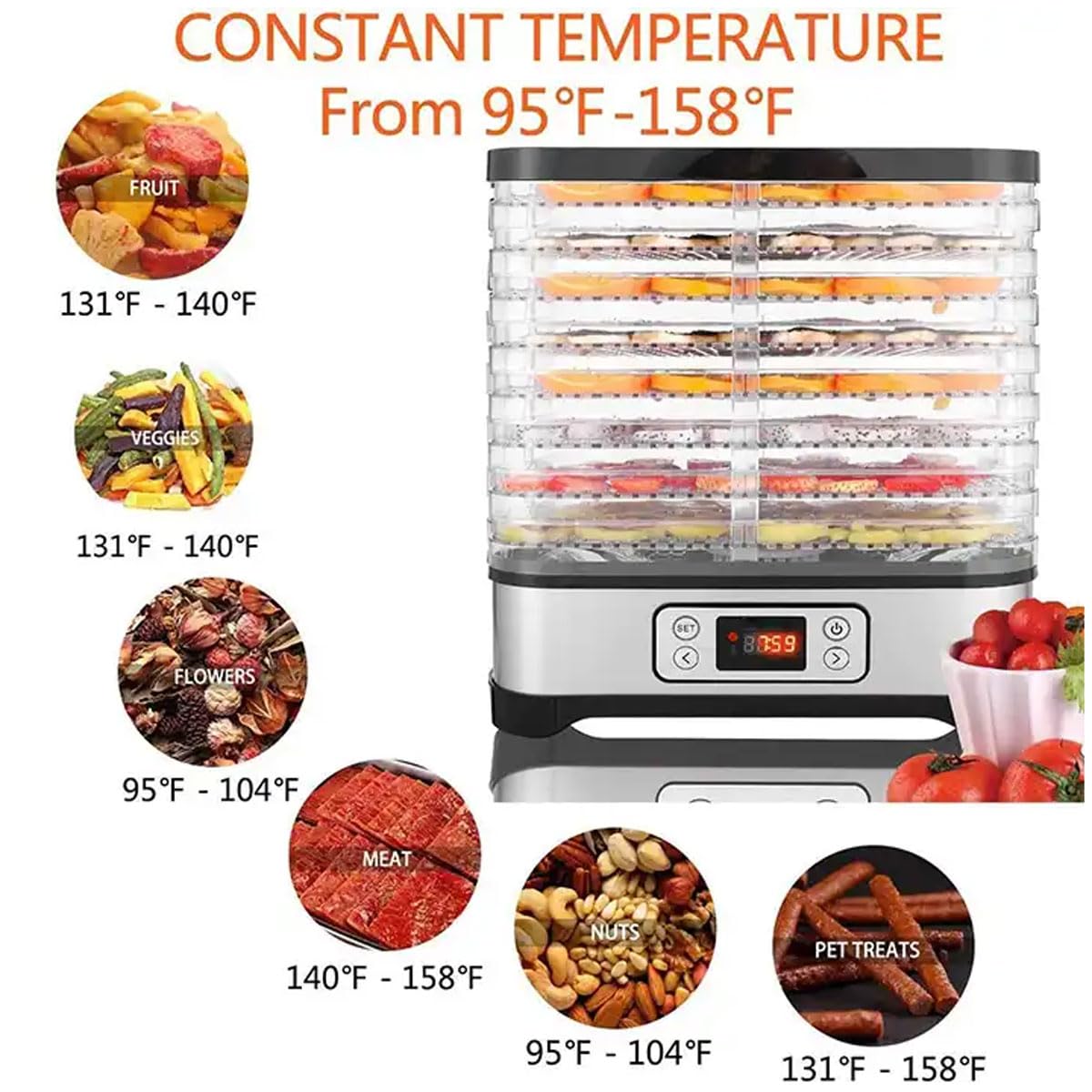 Essiccatore per alimenti domestico, essiccatore per frutta trasparente a 5 vassoi a 360° con temporizzazione di 72 ore, macchina per essiccazione portatile da 250 W per carne secca, frutta, carne, v