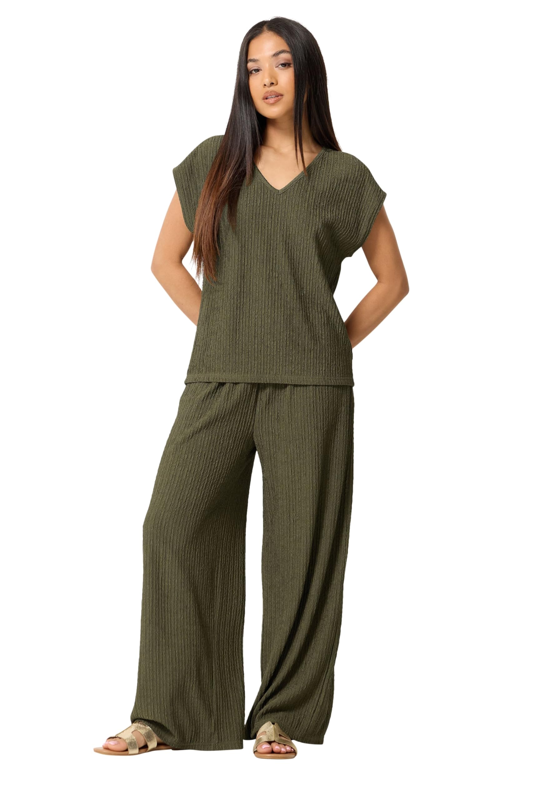 M&Co Women's Olive Petite Textured V-Neck T-Shirt In | : Size 8