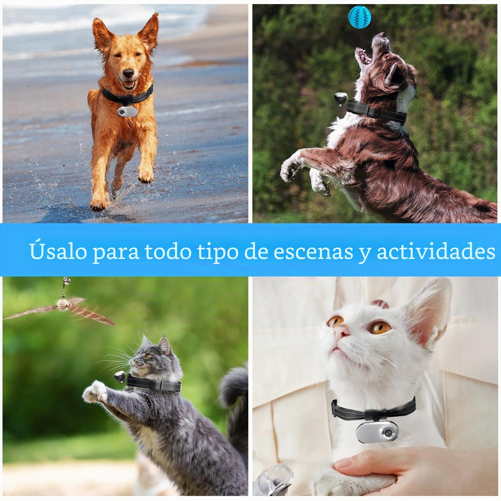 HD 1080P - Collar para cámara de Gato con grabación de Video, Mini cámara Deportiva inalámbrica, cámaras de acción pequeñas, cámara Corporal para Suministros para Mascotas, artículos para