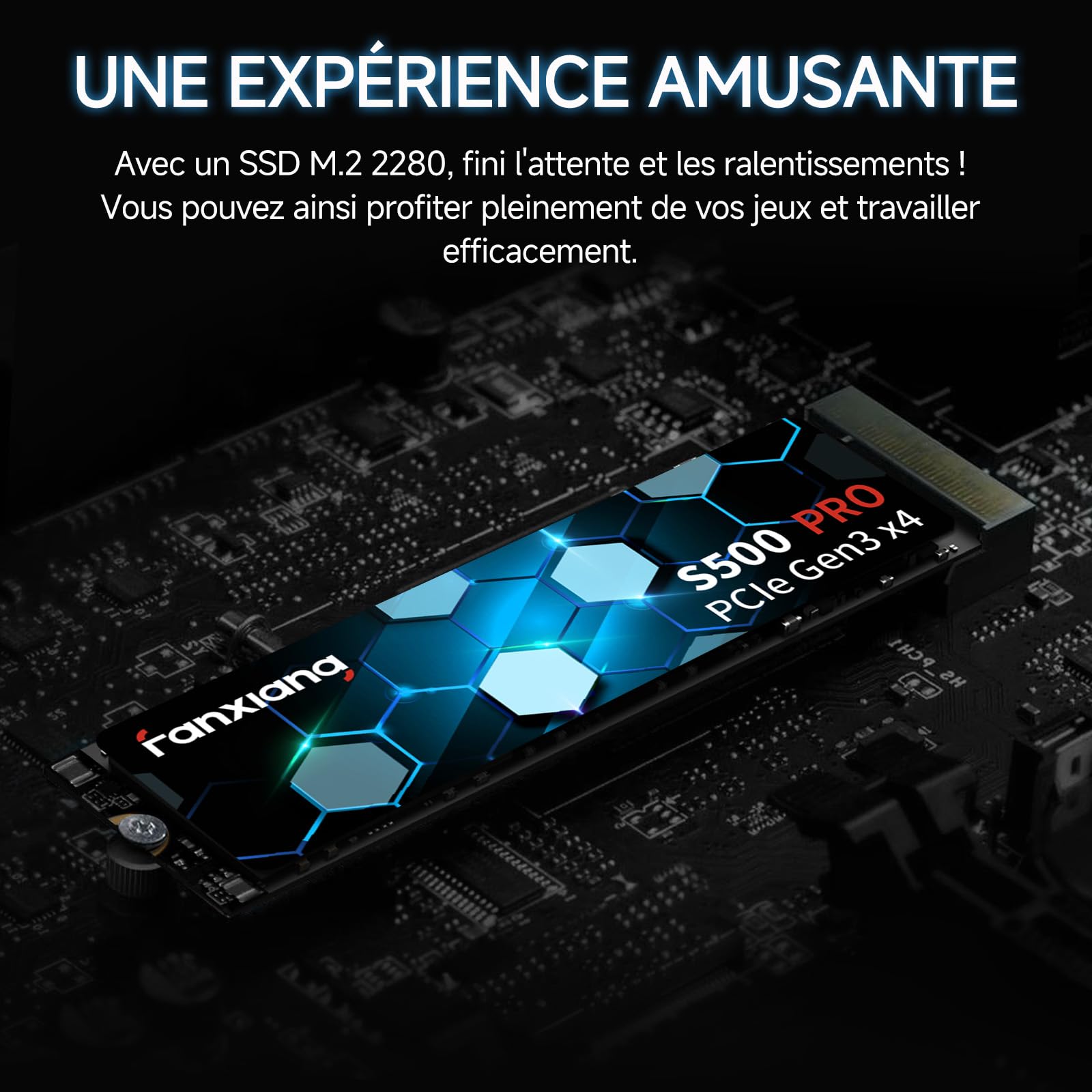 fanxiang SSD NVMe 256Go SSD M.2 PCIe Gen3.0x4 2280 Disque SSD Interne 256Go, Jusqu'à 3000Mo/s en Lecture - Compatible avec Notebook, Desktop, PC(S500Pro)