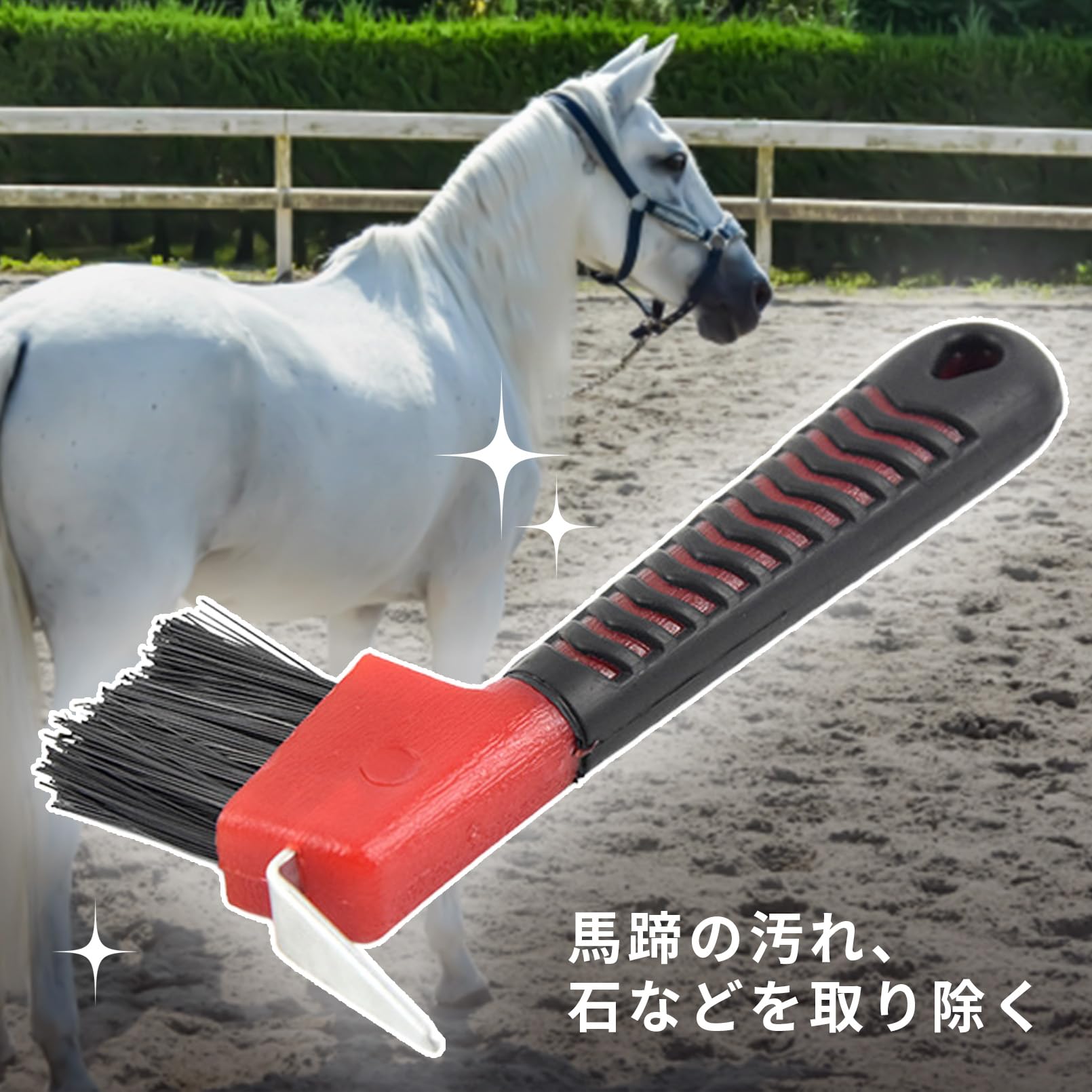 Amazon.co.jp: [シャンディニー] 馬 蹄 掃除用具 馬蹄 爪 ブラシ ケア