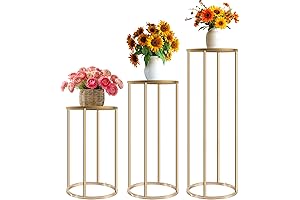 3 Pcs Cylinder stand