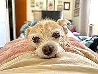 Review Image by Theda Theda