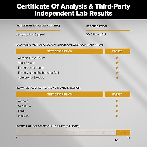 Vista 5 de Suplemento de probióticos Lactobacillus Gasseri 30 mil millones de UFC, 240 tabletas de probióticos para hombres y mujeres, apoya la salud digestiva