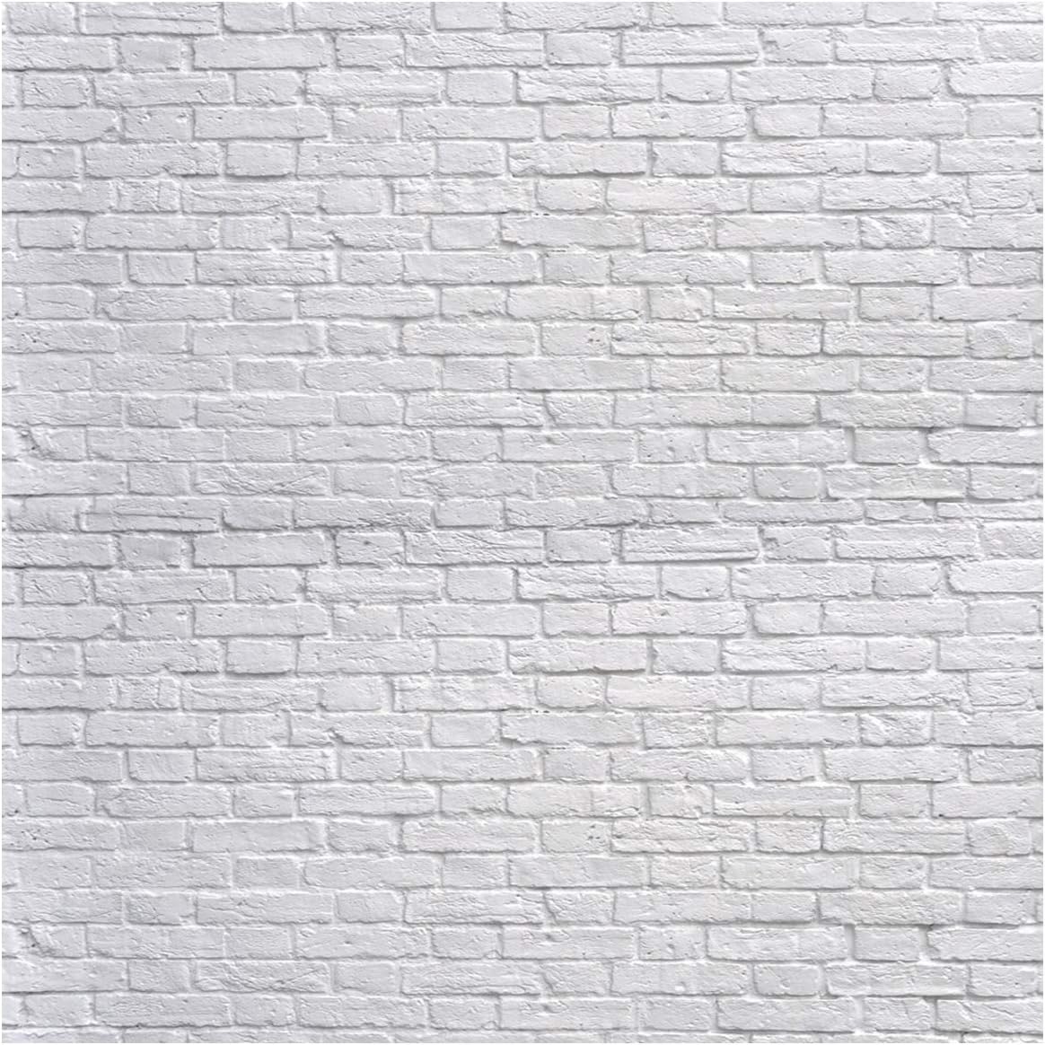 数々の賞を受賞 写真撮影用レンガ壁背景 背景布 バックペーパー Raffles Mn