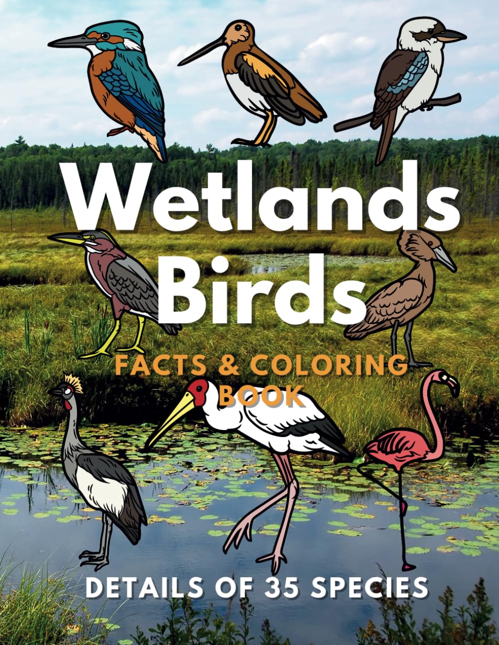 Wetland Birds: Facts & Coloring Book: Fun Facts and Colouring Activity Book for Children Aged 2 to 16 Years (Animal Facts and Coloring)