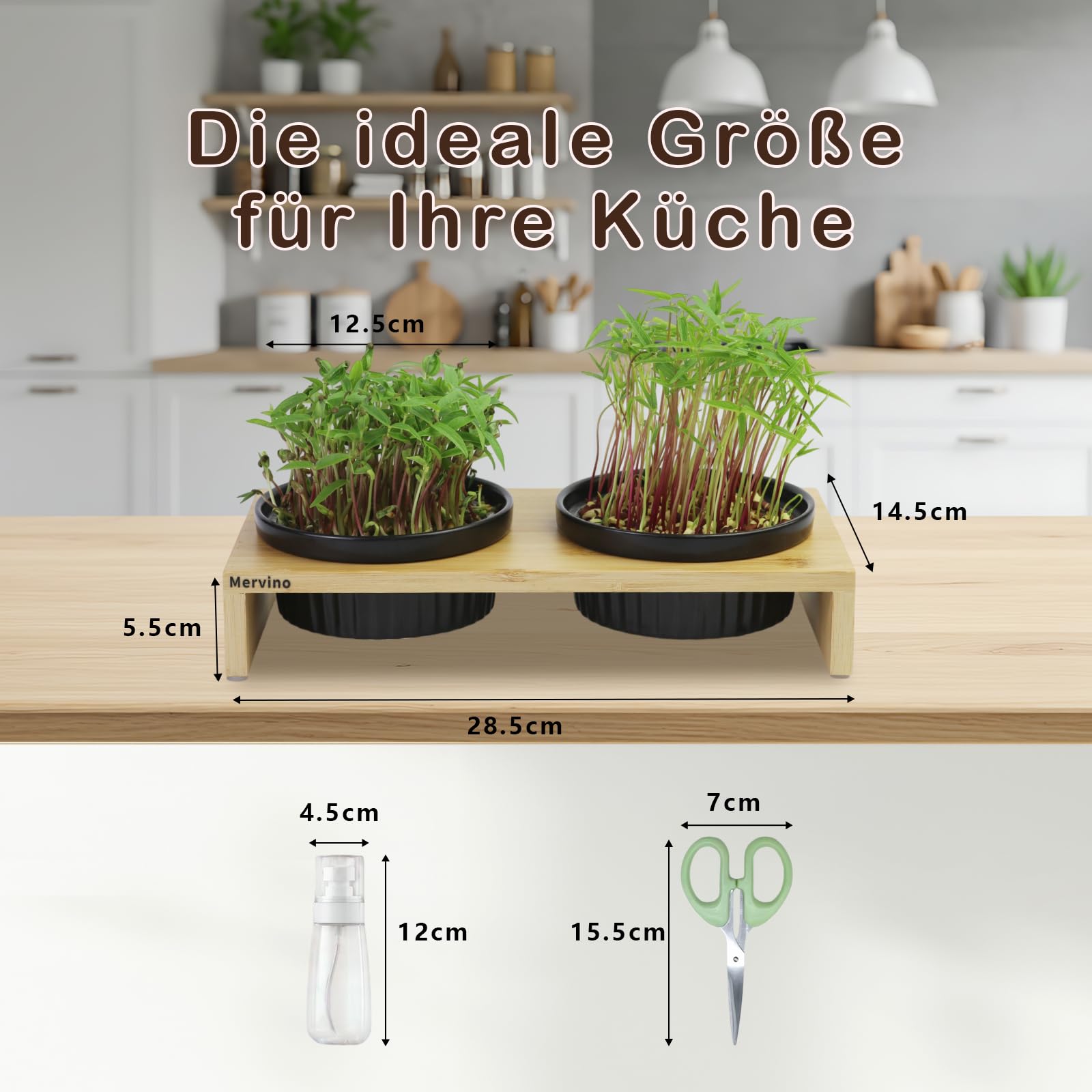 Mervino Kresse Anzuchtschalen Set mit 2 Hochwertigen Keramik-Anzuchtschalen, 2 Edelstahlsieben & Bambusständer – Praktisches Sprossen Anzuchtset für Microgreens, Kressesamen und Keimlinge,Schwarz