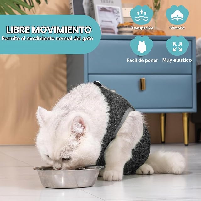 Foto 2 de 6 de Avont Traje de Recuperación para Gatas Esterilizadas, Ropa Postoperatoria Protectora Antilamido