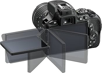 Amazon.com : Nikon D5600 DX-format Digital SLR w/ AF-P DX NIKKOR