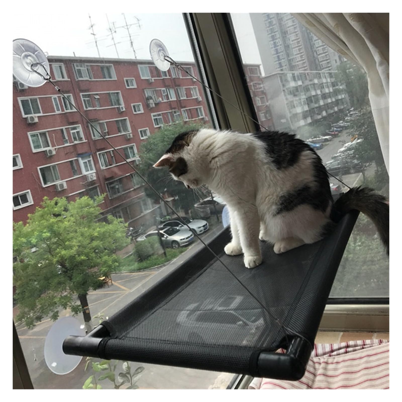 Cat Hammock Hang Bed Mat Kitten Cat Window Mount Hammock Bed Pet Basking Shelf Cuscino Del Sedile For Accessori For Gatti Amaca Per Gatti