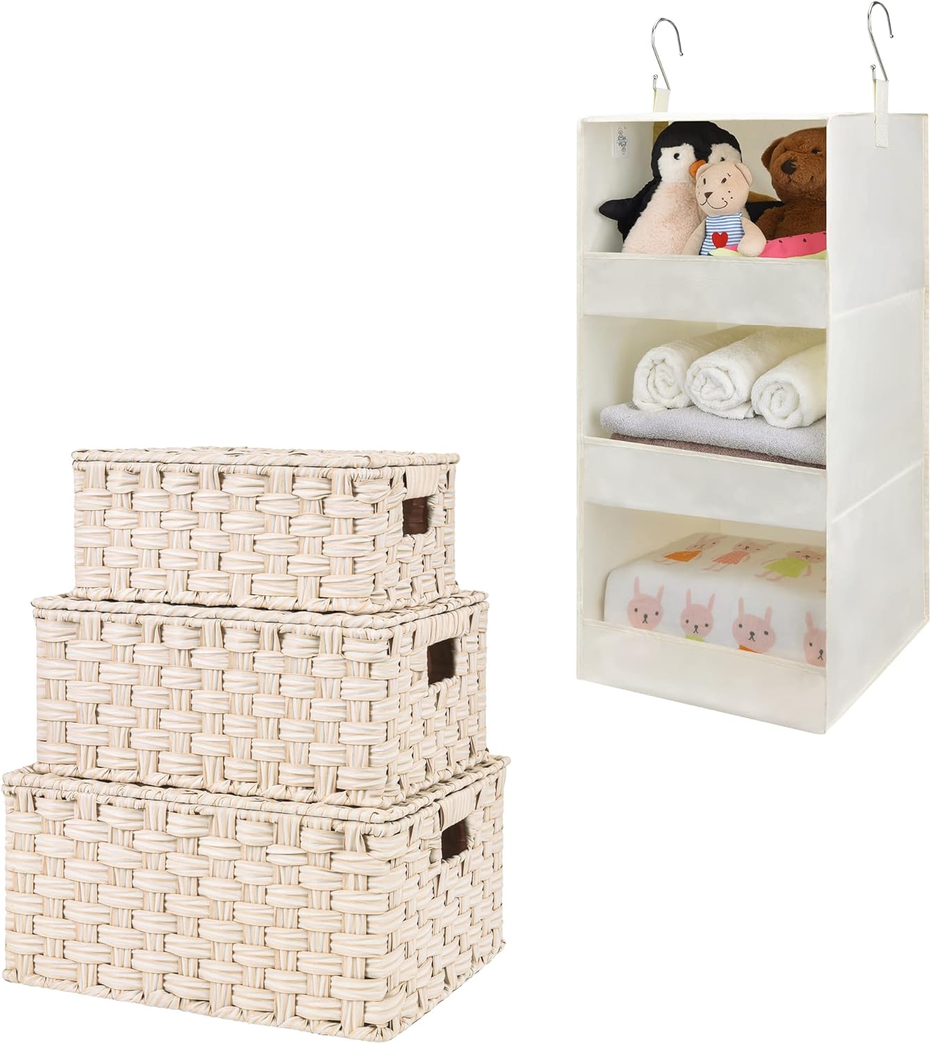 GRANNY SAYS Bundle of 3-Pack Wicker Baskets Storage & 1-Pack Hanging Closet Organizer