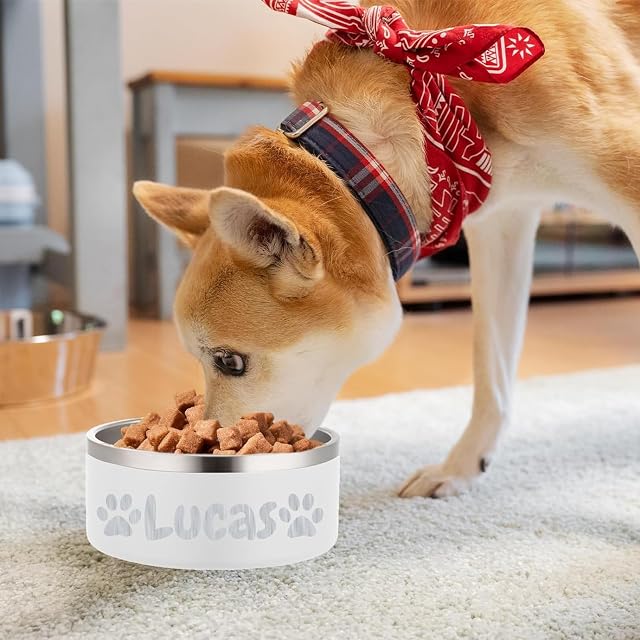 Foto 5 de 6 de Cuencos Personalizados de Acero Inoxidable para Perros y Gatos, Cuenco de Agua Grabado con láser para Mascotas