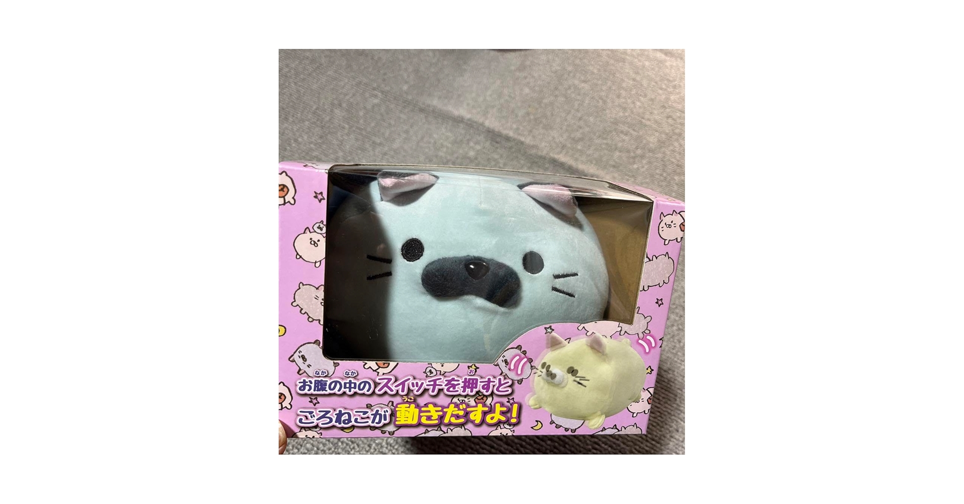 ごろ猫 Amazon.co.jp: ごろねこサミット ヤマモト : ホーム＆キッチン