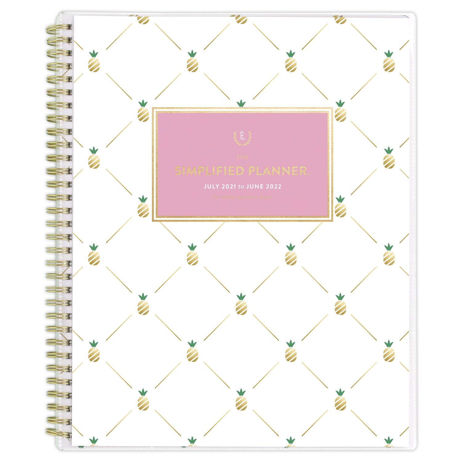 AT-A-GLANCE Agenda accademica 2021-2022, semplificata da Emily Ley per AT-A-GLANCE Agenda settimanale e mensile, 21 x 28 cm, grande, personalizzabile, per scuola, insegnanti, studenti, ananas